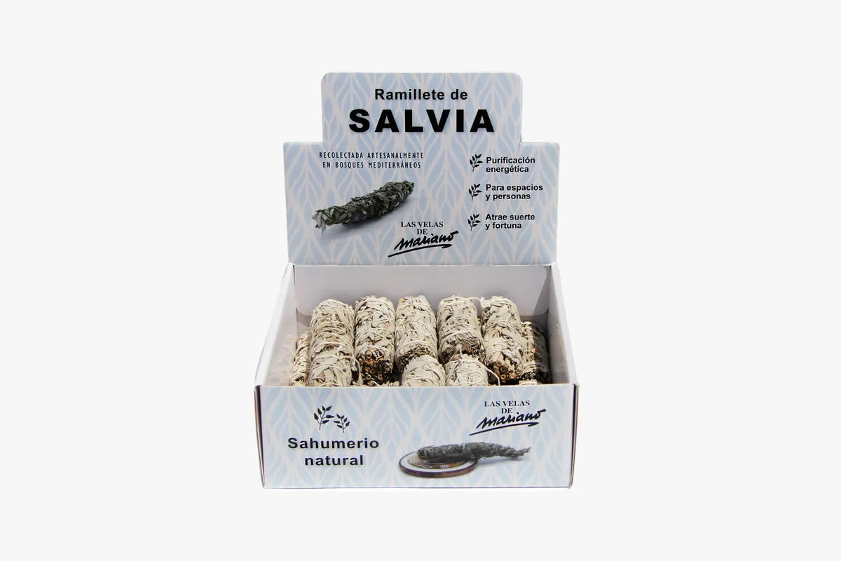 Ramillete de salvia blanca